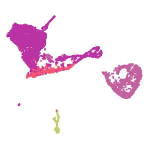 cell_type plot preview