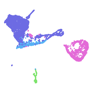 cell_type plot preview