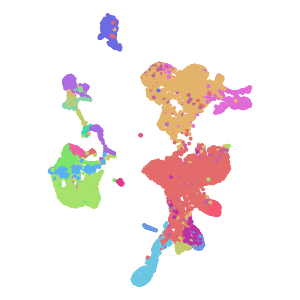 cell_type plot preview