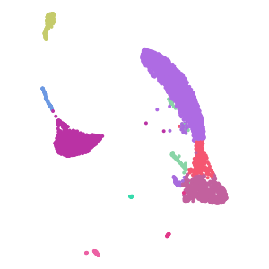 author_cell_type plot preview