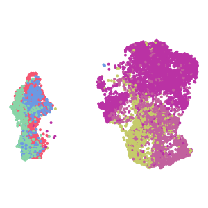 cell_type plot preview